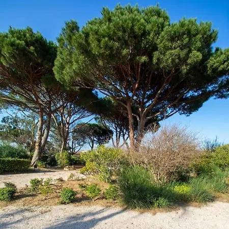 Apartamento Entièrement Rénové Avec Terrasse
